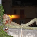 PRESEPE-VEGETALE-079