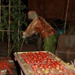 PRESEPE-VEGETALE-085