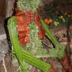 PRESEPE-VEGETALE-100