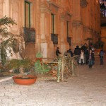 PRESEPE-VEGETALE-101