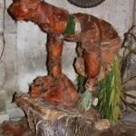 PRESEPE-VEGETALE-108