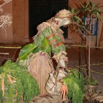 PRESEPE-VEGETALE-132