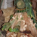 PRESEPE-VEGETALE-139