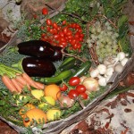 PRESEPE-VEGETALE-148