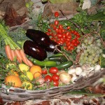 PRESEPE-VEGETALE-149