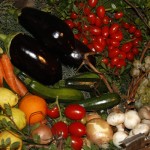 PRESEPE-VEGETALE-150