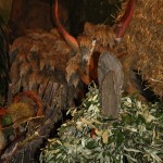 PRESEPE-VEGETALE-151