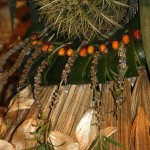 PRESEPE-VEGETALE-176