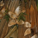PRESEPE-VEGETALE-177