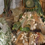 PRESEPE-VEGETALE-178