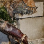 PRESEPE-VEGETALE-186