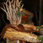 re magi presepe vegetale