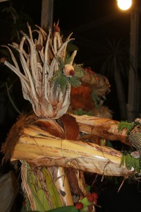 re magi presepe vegetale