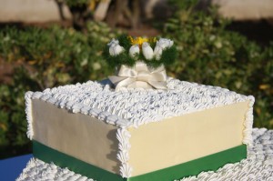 IMG_5201