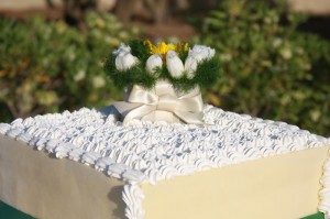 IMG_5203