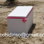matrimonio-spiaggia-019