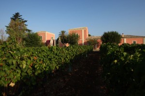 cantina 15