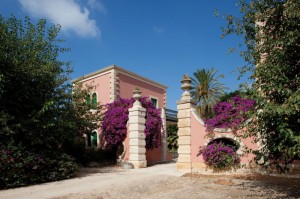 cantina4 (1)