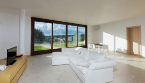 ArtemisiaG2
