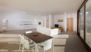 ArtemisiaG3
