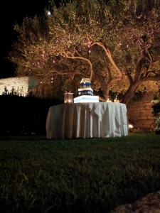 wedding planner fiocchi di riso