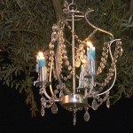 wedding planner fiocchi di riso10