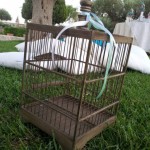 wedding planner fiocchi di riso6