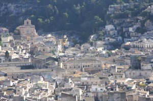 IMG_2250