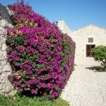 villa gisana  cortile interno fiocchi di riso wedding